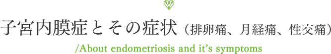 子宮内膜症とその症状（排卵痛、月経痛、性交痛）/About endometriosis and it’s symptoms