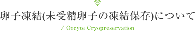 卵子凍結(未受精卵子の凍結保存)について/ Oocyte Cryopreservation