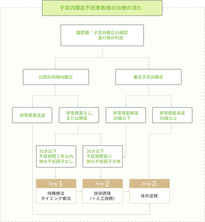 子宮内膜症不妊患者様の治療の流れ