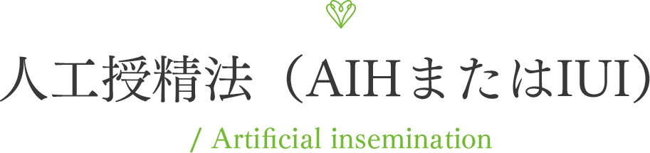 人工授精法（AIHまたはIUI） / Artificial insemination