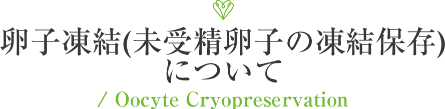 卵子凍結(未受精卵子の凍結保存)について / Oocyte Cryopreservation