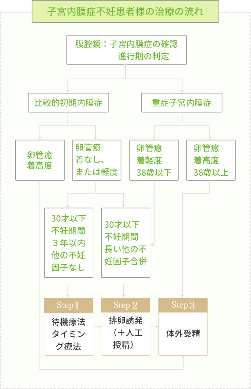 子宮内膜症不妊患者様の治療の流れ