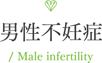 男性不妊症 / Male infertility