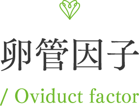 卵管因子 / Oviduct factor