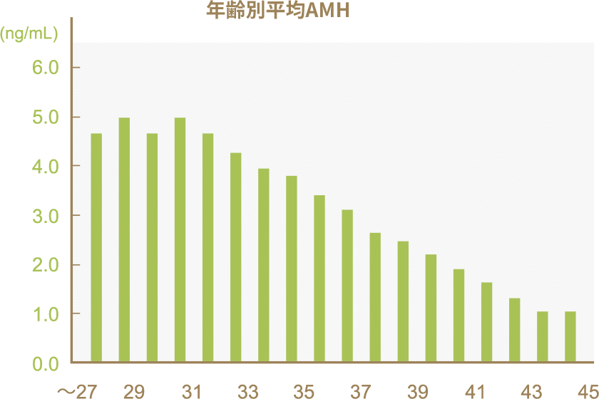 参考資料（JISARTより）