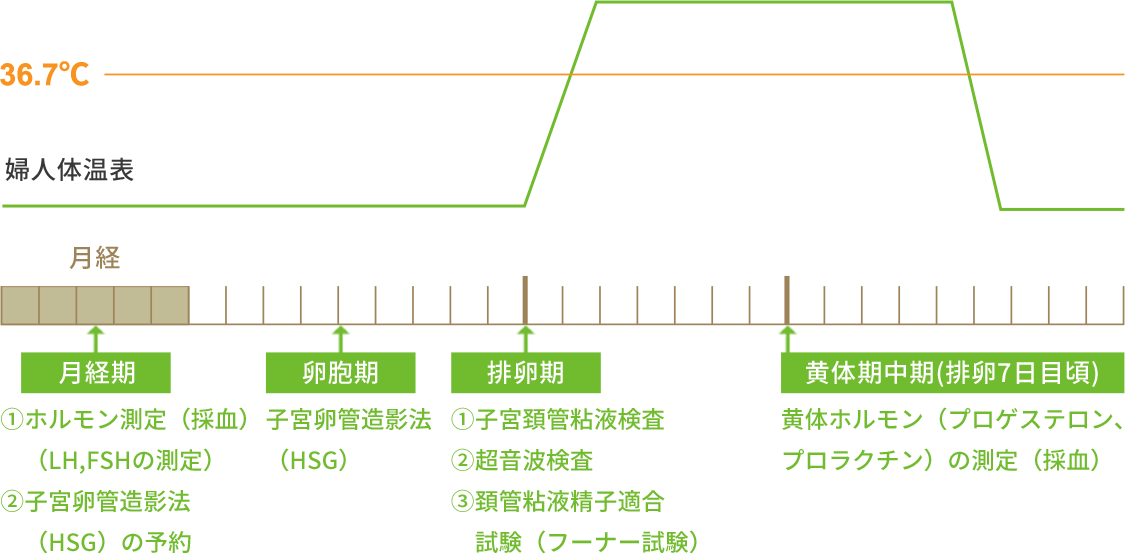 参考資料（JISARTより）