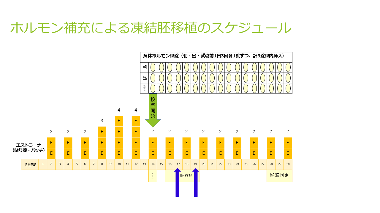 ホルモン補充法による凍結胚移植のスケジュール