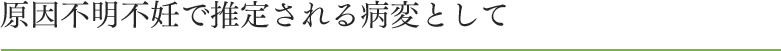 原因不明不妊で推定される病変として